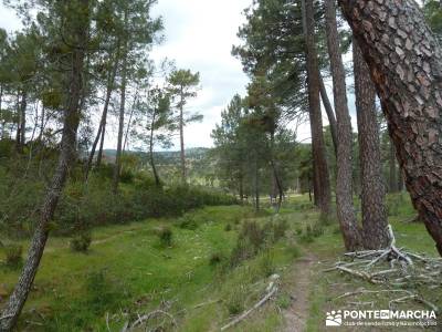 Ciudad Ducal y Torre de Eiffel;ruta montaña madrid;senderismo madrid niños